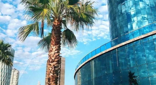 hotel sky tower -تیکس چارتر