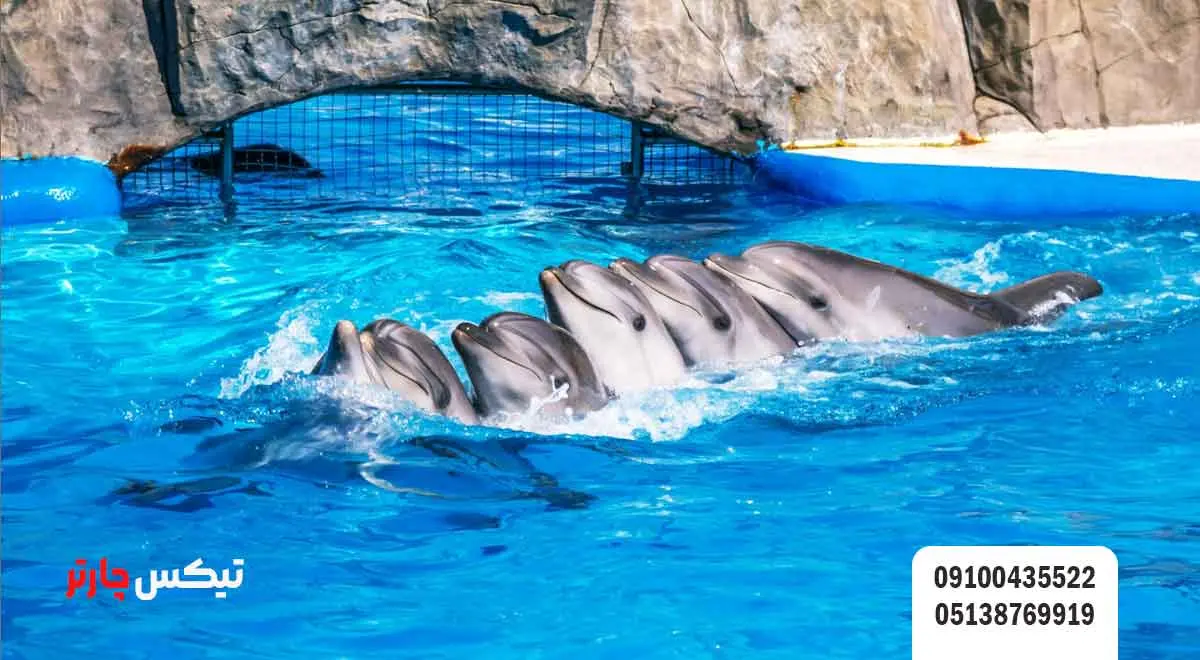 آکواریوم-باتومی-(Batumi-Dolphinarium)
