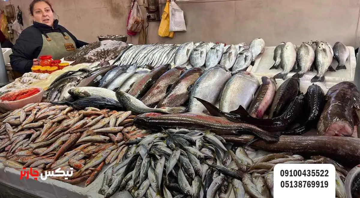 بازار-ماهی-باتومی-(Batumi-Fish-Market) - تیکس چارتر