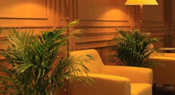هتل (PINE ASTORIA) تفلیس