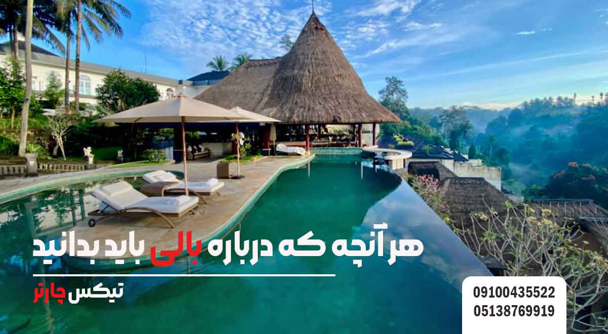 هر-آنچه-که-درباره-بالی-باید-بدانید-تیکس چارتر