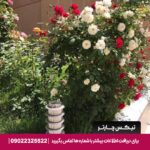 هتل کامفورت هاوس (COMFORT HOUSE) ارمنستان