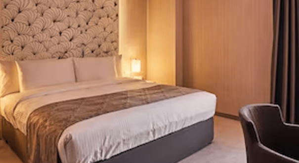 هتل آتو تفلیس(Atu HOTEL Tbilisi)
