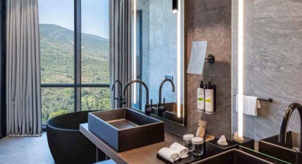 هتل پولمن آکسیز تاورز (Pullman Axis Towers) تفلیس