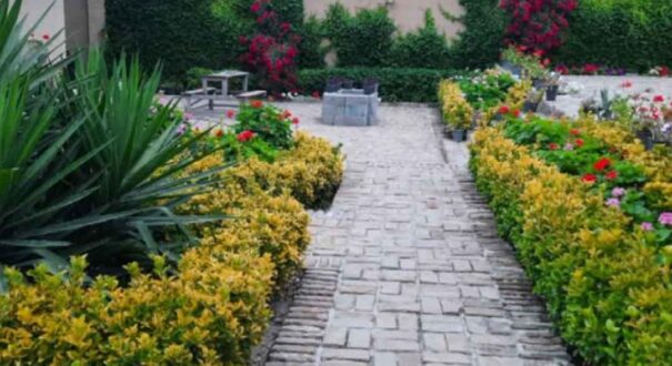 اقامتگاه بومگردی ددنگه گرگان - تیکس چارتر