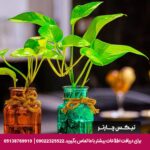 هتل شیراز مشهد-تیکس چارتر