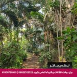 هتل (Momchailai Beach Retreat) پاتایا