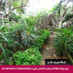 هتل (Momchailai Beach Retreat) پاتایا