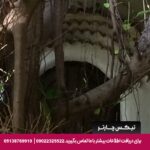 هتل (Momchailai Beach Retreat) پاتایا