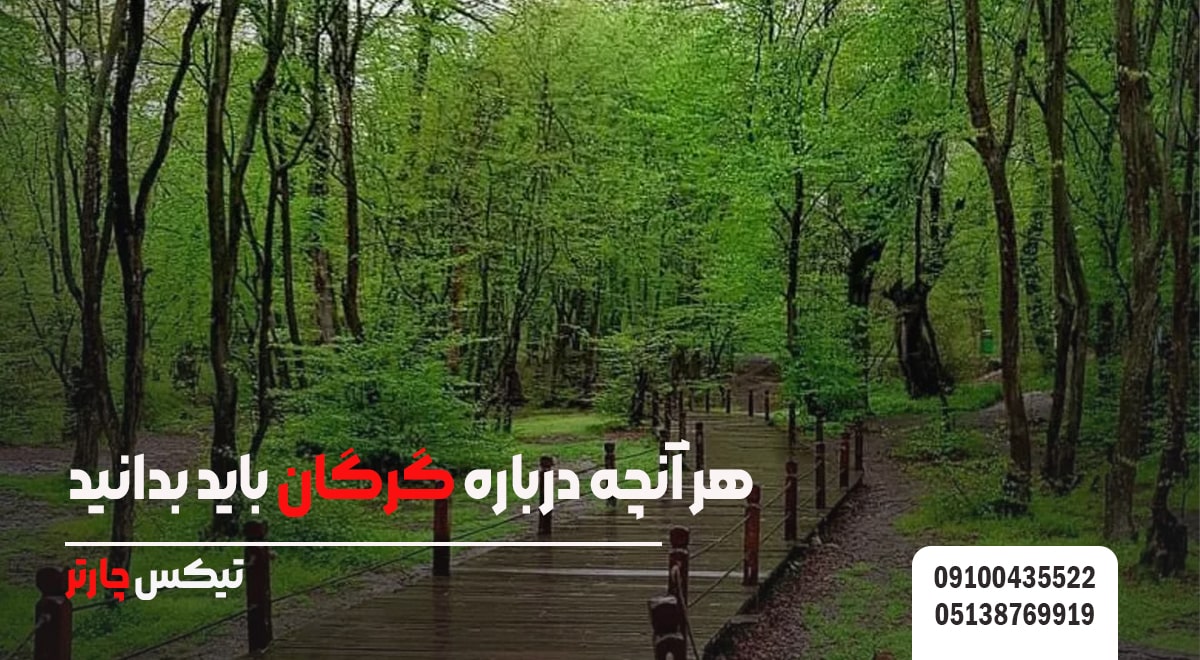 هر آنچه درباره گرگان باید بدانید - تیکس چارتر